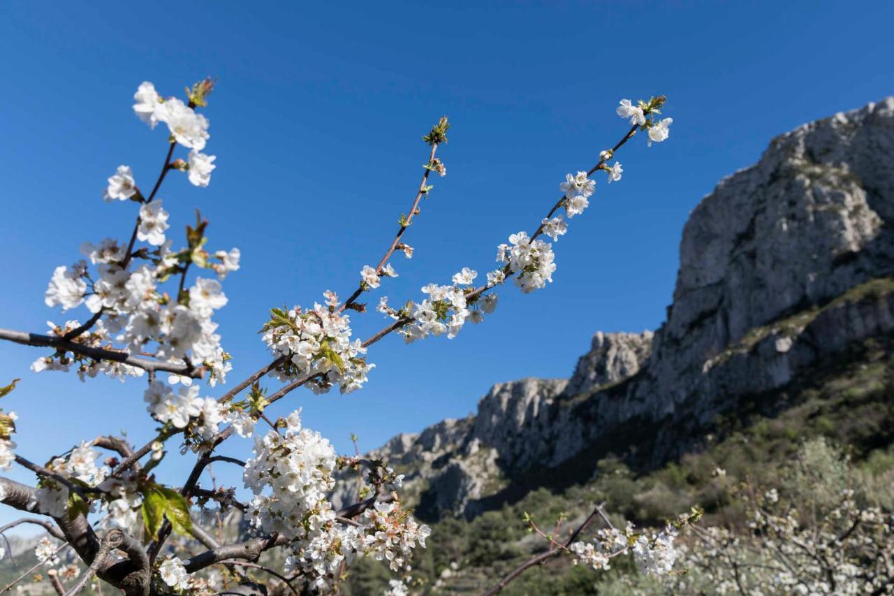 Hotel El Capricho Beniali (Adults Only) Alicante Luaran gambar